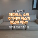 롯데캐슬 세탁 | 매트리스, 소파 주기적인 청소가 필요한 이유? 해운대 롯데캐슬스타 후기