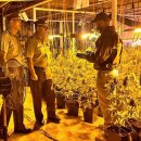 남미농장 이미지