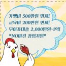 꼬꼬싸롱 이미지