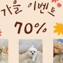 신우플러스원 이미지