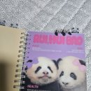 디자인푸루다