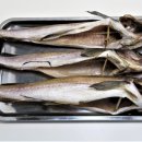 코다리네 이미지