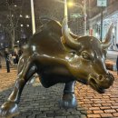 뉴욕타이거푸드카페 | 미국 뉴욕/칸쿤 신혼여행 일정 - 3일차 여행코스 총정리 후기