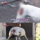 자학농장 이미지