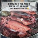 9월3일.숫치민어,암치민어,생물고등어,덕자,小민어,서대,병어,생물오징어,잡어,민어회 이미지
