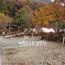 수도캠핑장 | 충북제천 캠핑장 늦은 할로윈캠핑 제천 청풍호오토캠핑장 내돈내산후기