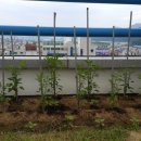 코스모모텔 이미지