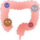 유어스 짐 이미지