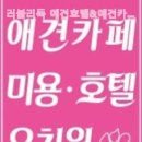 러블리독 애견카페 이미지