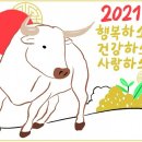 권박사야구교실