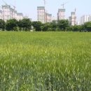 단원구청 이미지