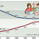 [인구] 인구구조(유형) 이미지