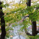 한국목장 이미지