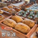 포레포레 | 동해 베이커리 카페 빵포레 방문 후기