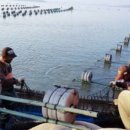 새한국슈퍼 이미지