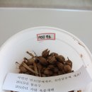 씨드림 이미지