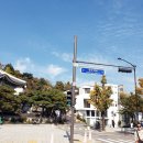 용인대파란태권도 | 국민 품으로, 청와대 방문기
