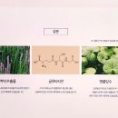 인셀덤처인구 | 인셀덤비비를 선택할 때 고려해야 할 포인트!!