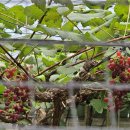 대전둘레산길(3구간) 이미지