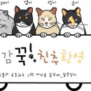 (주)내추럴발란스코리아 이미지