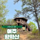 아주 소나무향기태권도 | 여주 가볼만한 곳 소나무 향기 따라 걷는 황학산 이 길 진짜 좋다