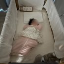 빵구대장