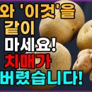 감자와 상극인 음식 TOP 5! 말씀드릴게요. 절대 드시면 안됩니다!! 노년기의 건강하고 행복한 한 삶을 위해 먹는 감자!... 이미지