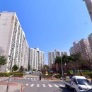 판암동239 이미지