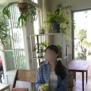 멍청하개 | 평택 테라스 카페 샌드위치 맛집 송탄 미드바르앳홈 주차 내돈내산 추천