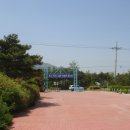 반곡중학교 이미지