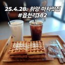 읍천리 382 대가대점 이미지