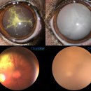 일곡동물병원 이미지