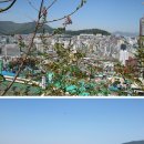 초장중학교 이미지