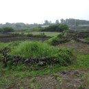 세계문화유산인문학 이미지