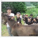 봉황의나라 고흥택견 전수관 이미지