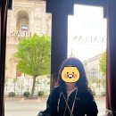 칼라스사우나 | 신혼여행(헝가리 부다페스트, 국회의사당, 세체니 온천)