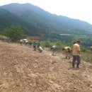 숭문중학교 이미지