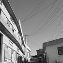 용호농장 이미지