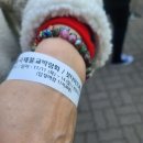 붓다보이차 이미지