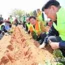삼기농협 이미지