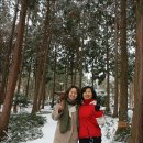 흙집우드 이미지