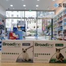 드림i약국 이미지