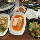 그린피그 이미지