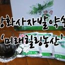 미래힐링농산 | 사자발약쑥 미래힐링농산에서 건강을 위해 복용 리얼후기!