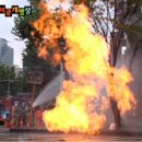 가스관 매설-3 Daum카페