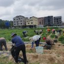 농업농장 이미지