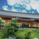 삼가관광농원 이미지