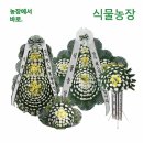 규암농협장례식장 쇼핑하우