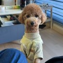 달래홀릭 이미지