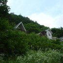 금당계곡 펜션 이미지